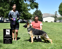 Reserve Winners Bitch Best Puppy
