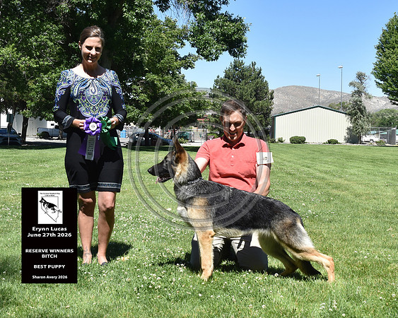 Reserve Winners Bitch Best Puppy