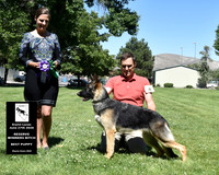 Reserve Winners Bitch Best Puppy