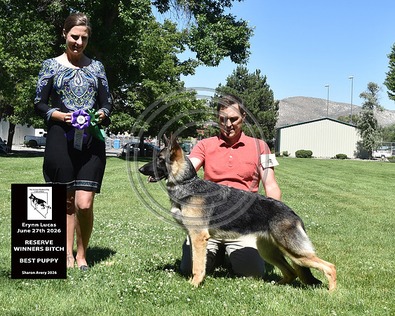 Reserve Winners Bitch Best Puppy