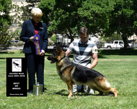 Best of Breed