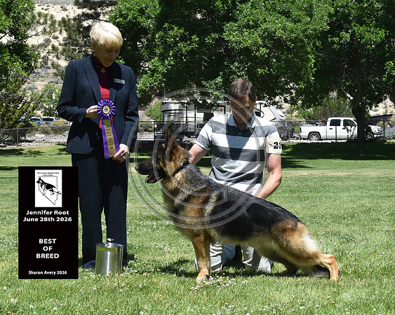 Best of Breed