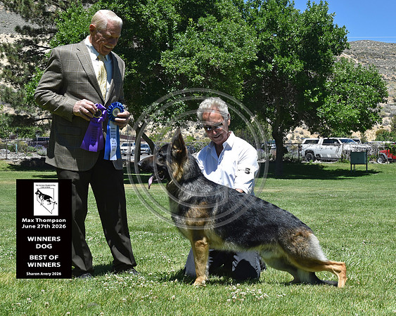 Winners Dog Best of Winners