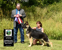 Winners Dog Best Opposite