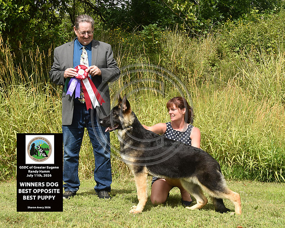 Winners Dog Best Opposite