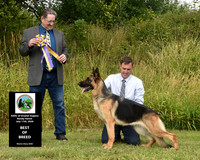 GSDC Greater Eugene - Randy Hamm