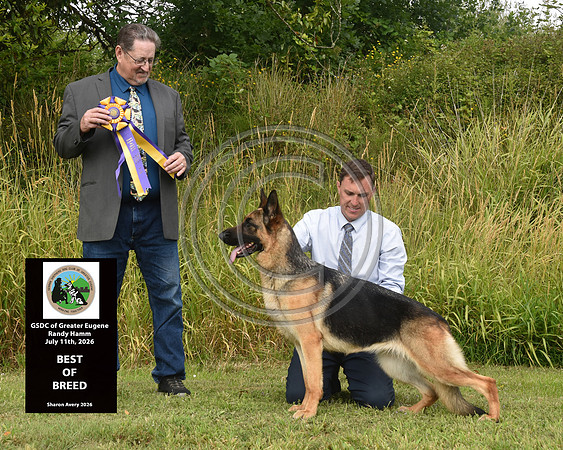 Best of Breed