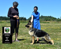 GSDC Greater Eugene - Bo Vujovich
