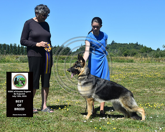 Best of Breed