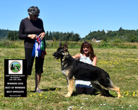 Winners Dog Best of Winners Best Opposite