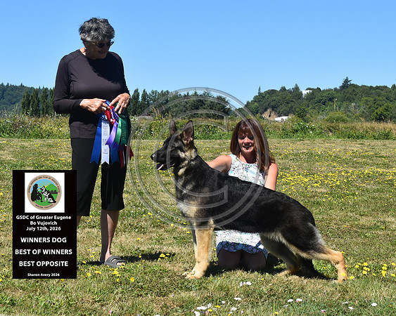 Winners Dog Best of Winners Best Opposite