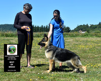 Best of Breed
