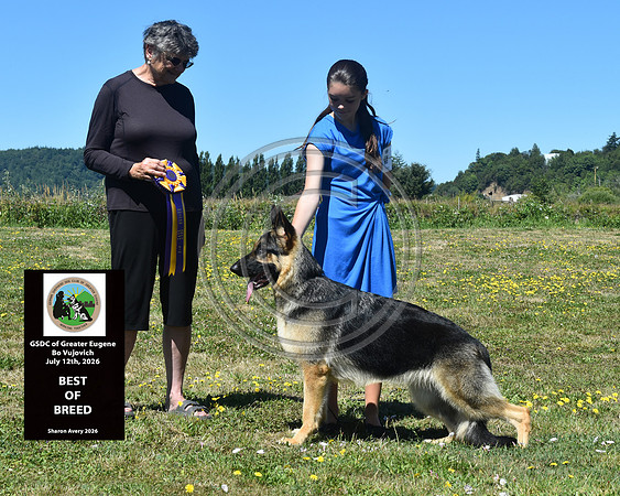 Best of Breed