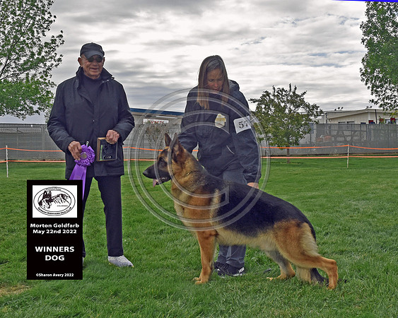 Winners Dog