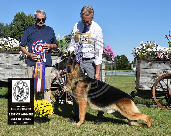 Best of Winners Best of Breed