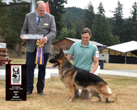 Best of Breed