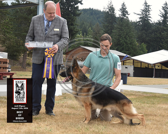Best of Breed