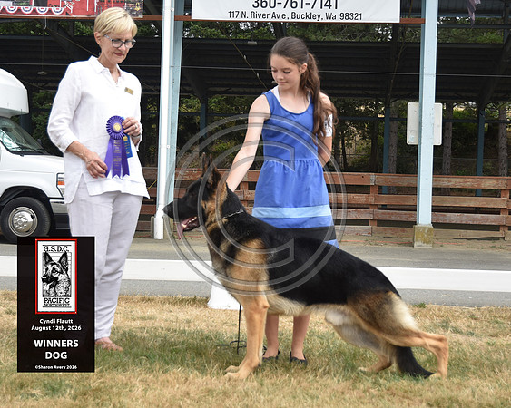 Winners Dog