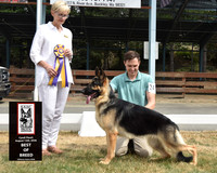 Best of Breed