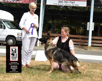 Reserve Winners Dog