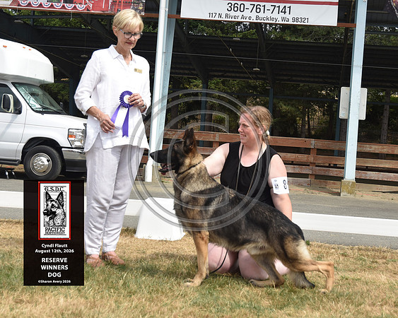 Reserve Winners Dog