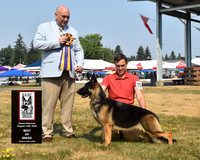 Best of Breed