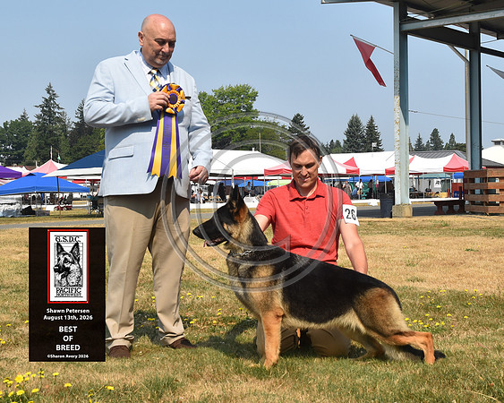 Best of Breed