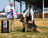 Winners Dog Best of Winners Best Opposite