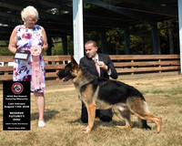 Reserve Futurity Dog