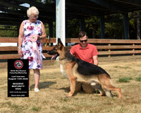 Reserve Maturity Dog
