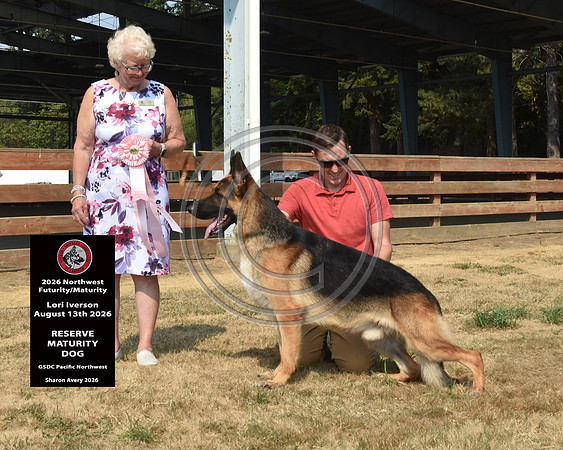 Reserve Maturity Dog