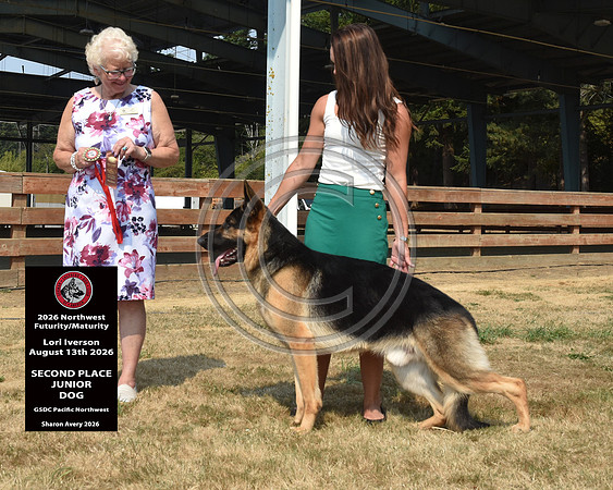 2nd Place Junior Dog