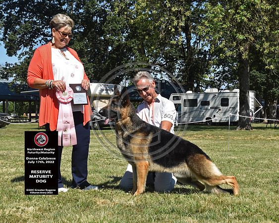 Reserve Maturity Dog