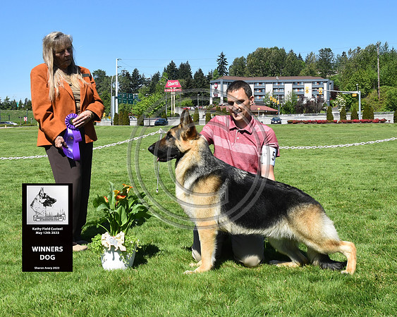 Winners Dog