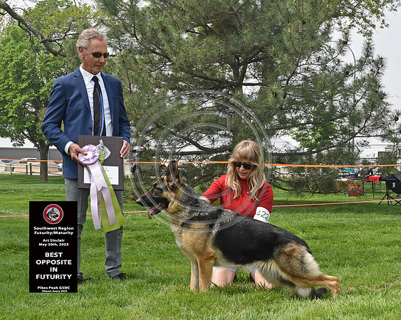 Best Opposite in Futurity