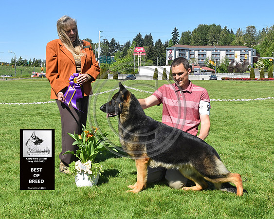 Best of Breed