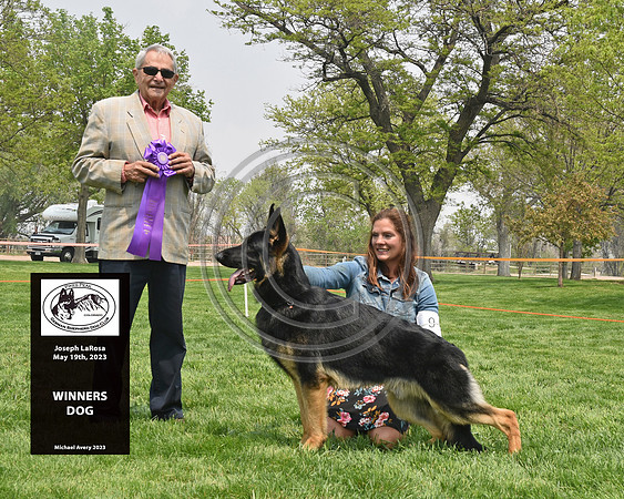 Winners Dog