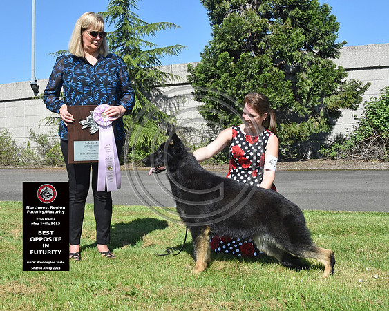 Best Opposite in Futurity