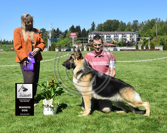 Winners Dog