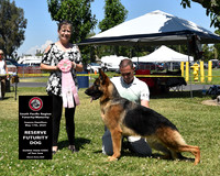 Reserve Futurity Dog