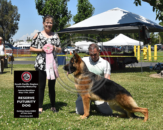 Reserve Futurity Dog