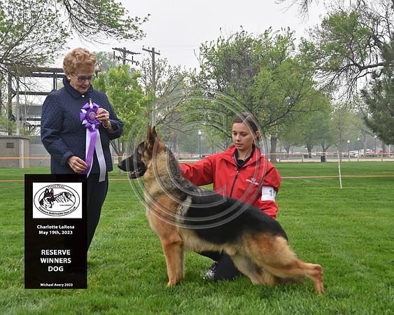 Reserve Winners Dog