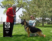 Select Dog