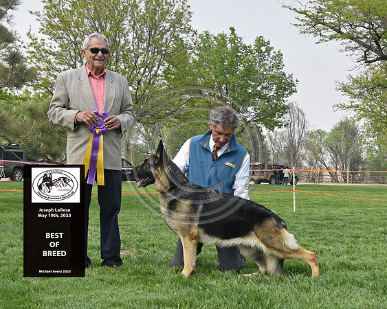 Best of Breed