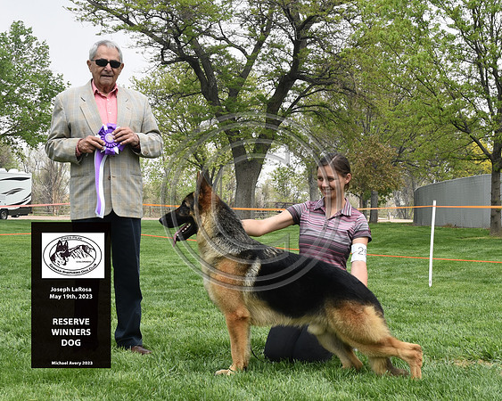 Reserve Winners Dog