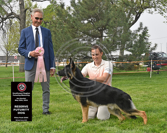 Reserve Futurity Dog