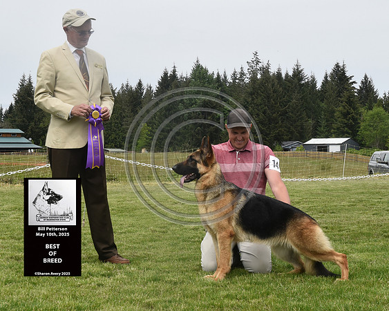 Best of Breed
