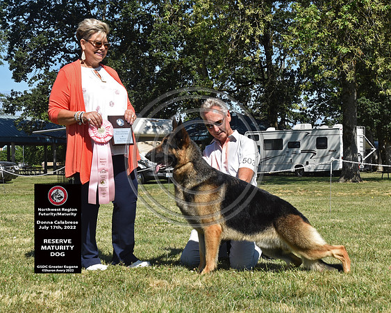 Reserve Maturity Dog
