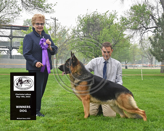 Winners Dog