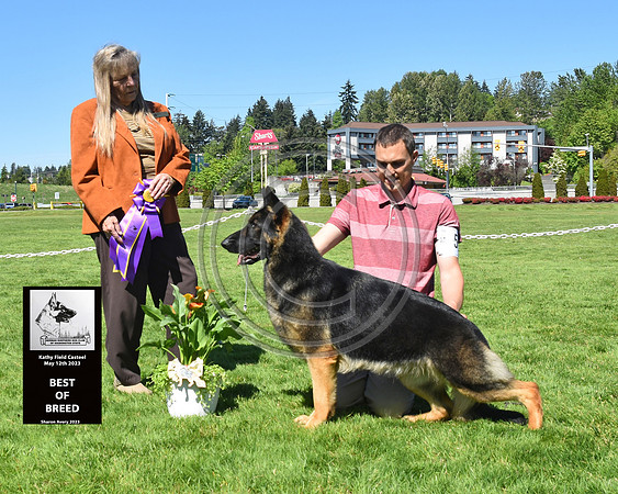 Best of Breed